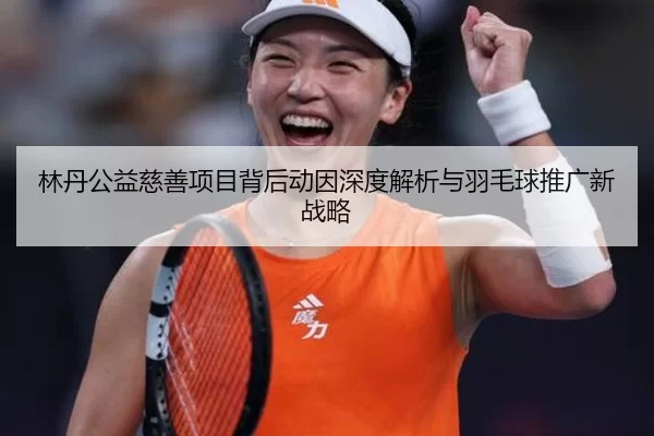 林丹公益慈善项目背后动因深度解析与羽毛球推广新战略